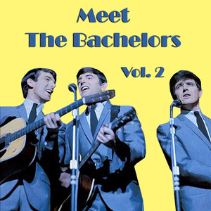 Meet the Bachelors, Vol. 2 album
