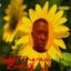 Emerging Albumcover