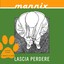 Lascia perdere Albumcover