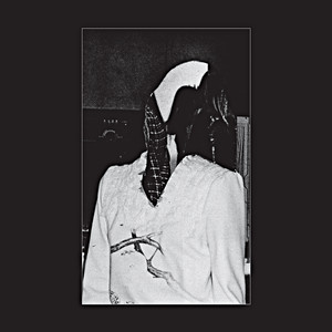 Dash cover
