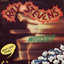 Boogity Boogity cover
