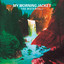 The Waterfall (Deluxe Version) cover