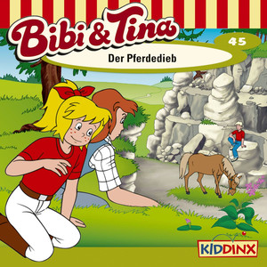 Folge 45: Der Pferdedieb Audiobook