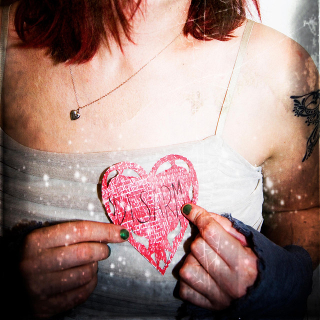 Disarm:15 cover
