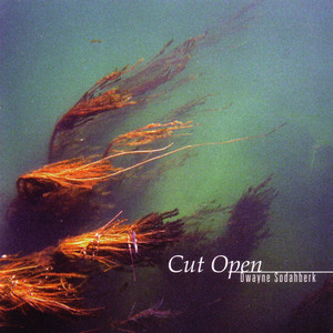 Cut Open cover
