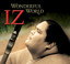 Wonderful World cover
