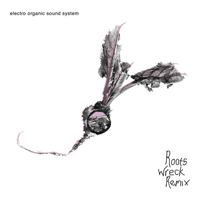 Electro Organic Sound System Photo