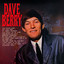 Dave Berry cover