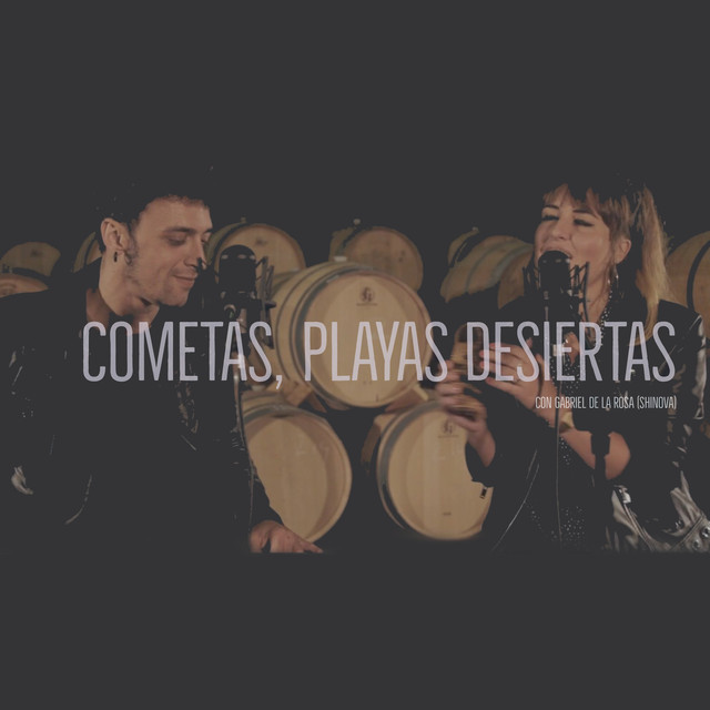 Cometas, Playas Desiertas (acústico) cover