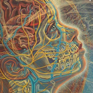 Sounds of Life Photo
