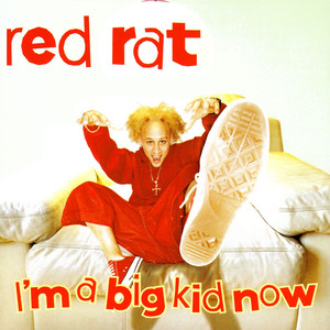 I'm a Big Kid Now album