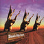 Pay Dirt cover