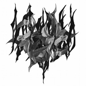 Mssng Naw cover