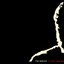 A Brief Head Spin Albumcover