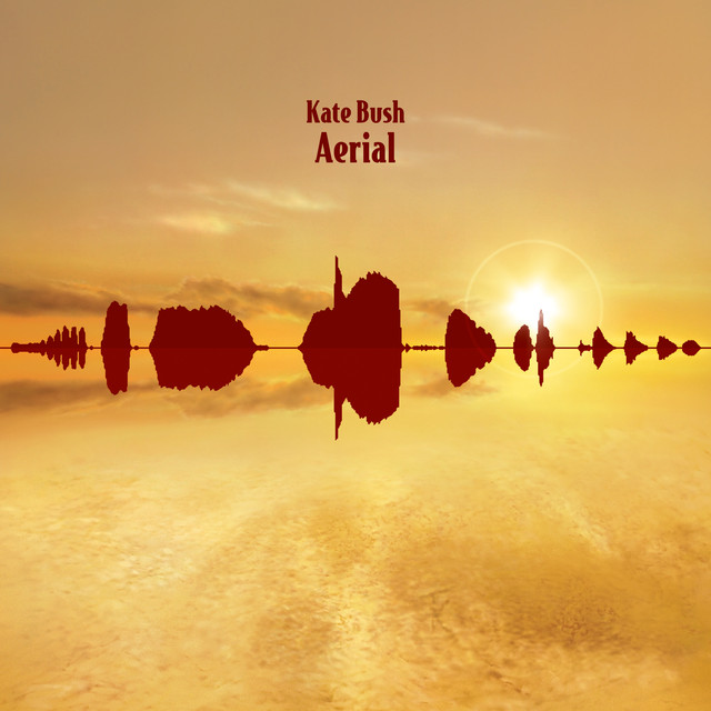 Aerial cover