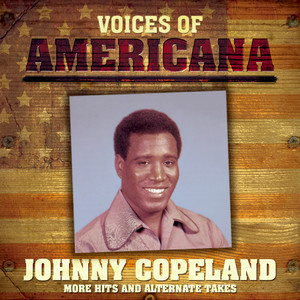 Voices Of Americana: More Hits and Alternate Takes album