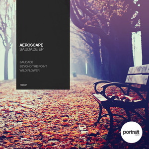 Aeroscape