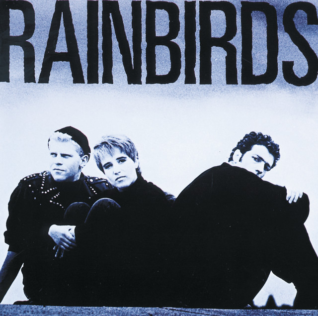 Rainbirds Photo