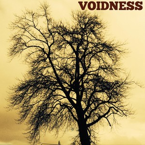 Voidness