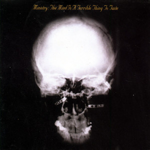 The Mind Is a Terrible Thing to Taste album