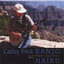 Banjo Haiku cover