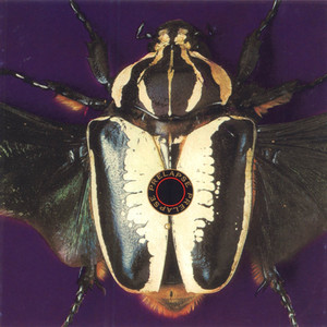 Corkscrew cover