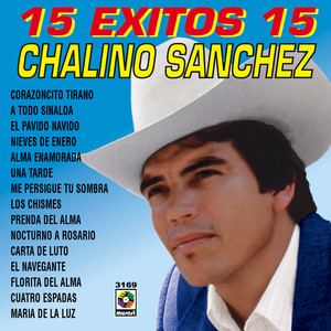 15 éxitos 15 album