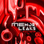 Memory Leaks cover