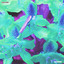 'Intrinsic' - Odd Mob
