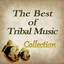 The Best of Tribal Music Collection Albumcover