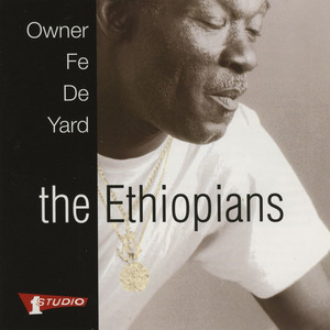 Owner Fe De Yard cover