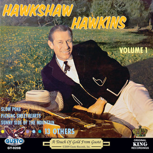 Hawkshaw Hawkins Volume 1 cover