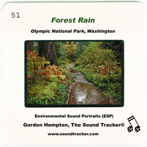 Forest Rain cover
