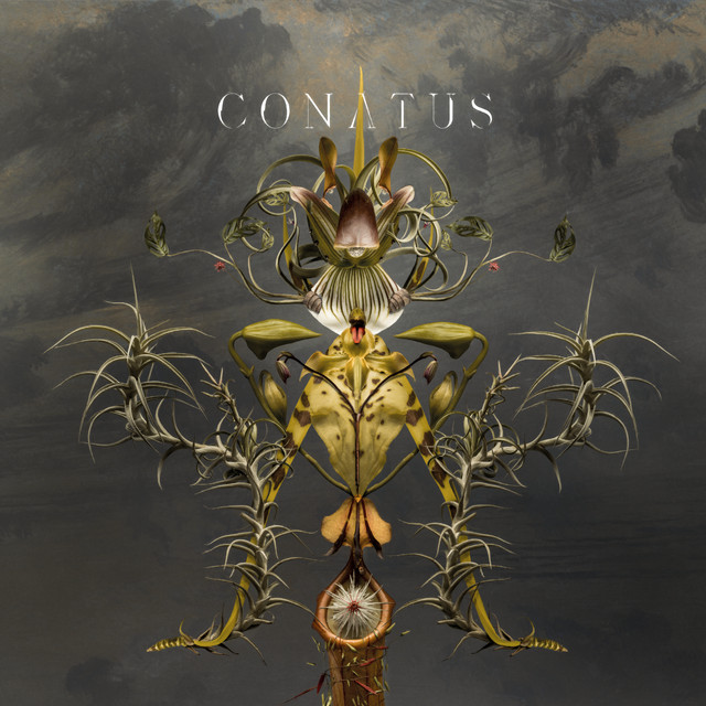 Musik Album 'Conatus'