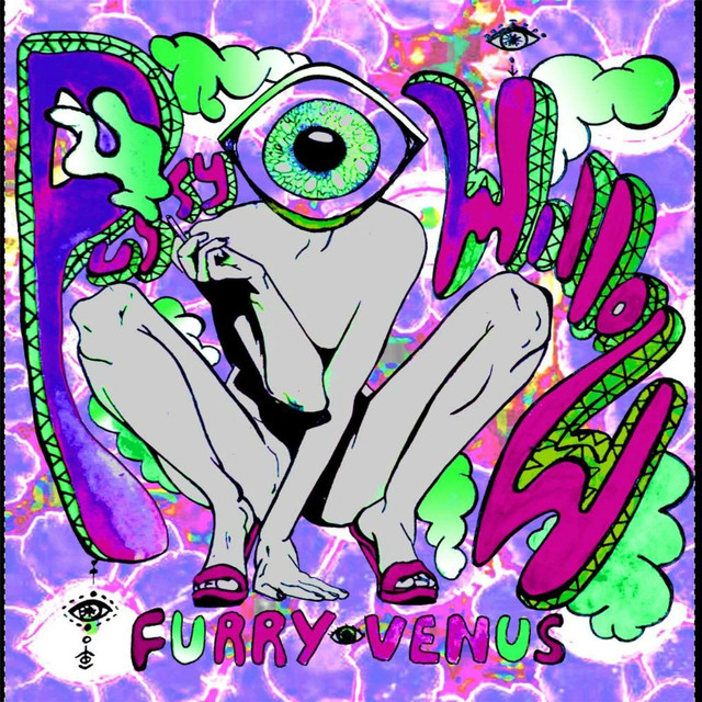 PussyWillowFurryVenus Photo