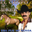 Esa Fue Mi Novia cover