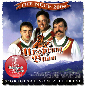 S' Original vom Zillertal cover