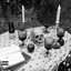 Outland Camp