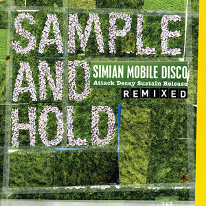 Sample and Hold: Attack Decay Sustain Release remixed cover