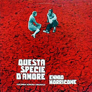 Questa specie d'amore album