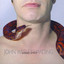 Adam's Apple cover