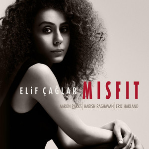Misfit cover