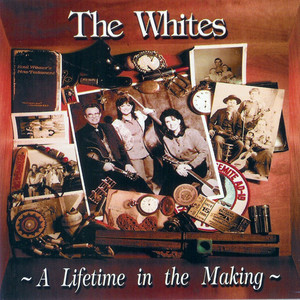 A Lifetime in the Making cover