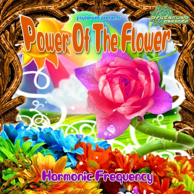 Harmonic Frequency Photo