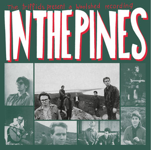 In the Pines cover