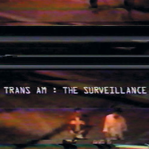 The Surveillance cover