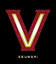 1st Mini Album V.V.I.P Albumcover