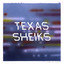 Geoff Muldaur & The Texas Sheiks