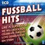 Fussball Hits 2008 Albumcover