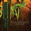 Bamboo Wind Albumcover